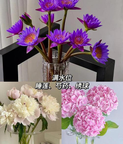 花放水里怎么养,掌握关键技巧,轻松延长花期 花放水里怎么养,掌握关键技巧,轻松延长花期