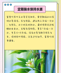 盆景树黄叶防治,找准原因,对症下药 盆景树黄叶防治,找准原因,对症下药