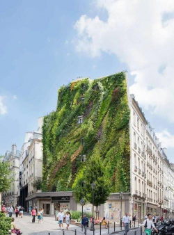 辽宁仿真立体绿化设计,提升城市美观,改善居住环境 辽宁仿真立体绿化设计,提升城市美观,改善居住环境