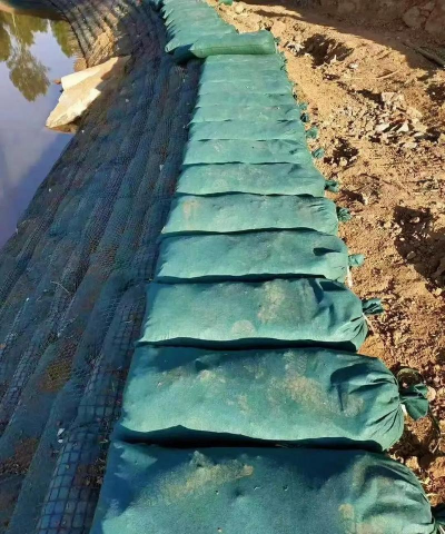 食用栽培袋,种植更简单,新手也能轻松上手 食用栽培袋,种植更简单,新手也能轻松上手