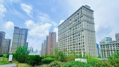 校园绿化设计视频,提升校园环境,打造绿色空间 校园绿化设计视频,提升校园环境,打造绿色空间