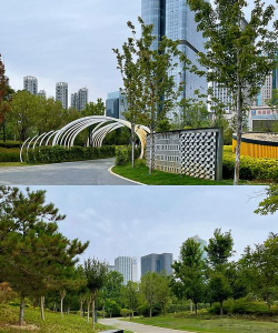 大连室外立体绿化设计,提升城市景观,改善生态环境 大连室外立体绿化设计,提升城市景观,改善生态环境