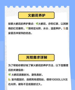 火鹤花怎么养肝,常见疑问,解决方向 火鹤花怎么养肝,常见疑问,解决方向