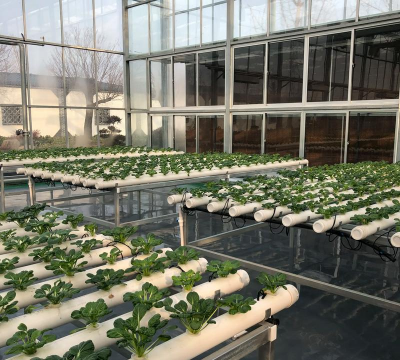 无土栽培产品,提升种植效率,解决空间限制 无土栽培产品,提升种植效率,解决空间限制