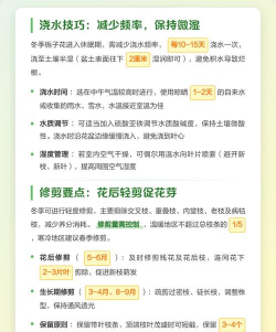 冬天怎么养栀子花,避免冻伤黄叶,安全过冬 冬天怎么养栀子花,避免冻伤黄叶,安全过冬