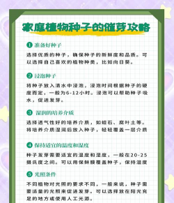 锯末栽培,轻松上手,家庭种植新选择 锯末栽培,轻松上手,家庭种植新选择