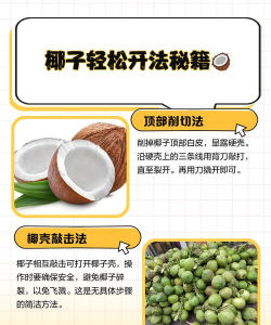 椰子的栽培,掌握关键步骤,轻松收获果实 椰子的栽培,掌握关键步骤,轻松收获果实