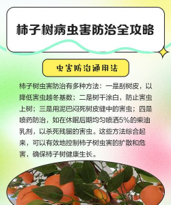 柿树病害防治,识别常见问题,掌握应对方法 柿树病害防治,识别常见问题,掌握应对方法