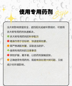 防治树本枯心,找准原因,对症下药 防治树本枯心,找准原因,对症下药