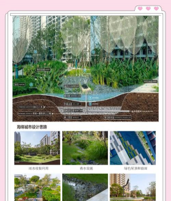 栽培海绵,提升植物成活率,改善根系生长环境 栽培海绵,提升植物成活率,改善根系生长环境