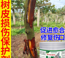 栽培树皮,修复损伤,促进愈合 栽培树皮,修复损伤,促进愈合