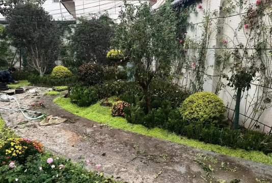 大型户外绿化造型设计,提升景观美感,打造独特空间 大型户外绿化造型设计,提升景观美感,打造独特空间