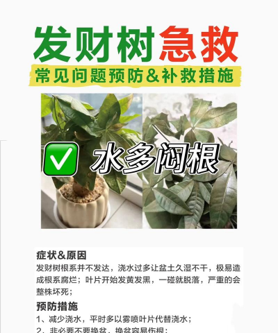 树瘤的防治,识别早期症状,采取有效手段 树瘤的防治,识别早期症状,采取有效手段