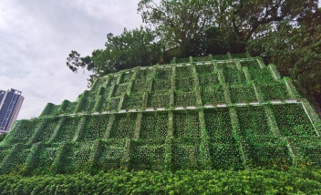 吉林围栏立体绿化设计,提升城市美感,改善居住环境 吉林围栏立体绿化设计,提升城市美感,改善居住环境