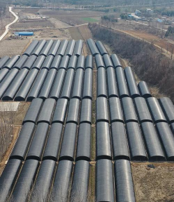 人工栽培羊肚菌,掌握关键技术,实现稳定产出 人工栽培羊肚菌,掌握关键技术,实现稳定产出