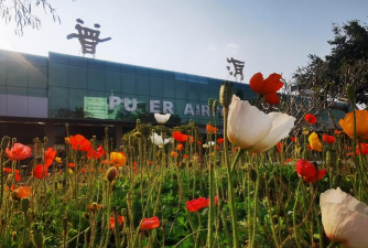 109国道沿线绿化设计,提升道路景观,改善行车体验 109国道沿线绿化设计,提升道路景观,改善行车体验