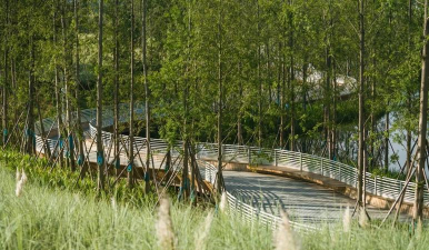 网红绿化设计公司,打造独特景观,提升空间美感 网红绿化设计公司,打造独特景观,提升空间美感