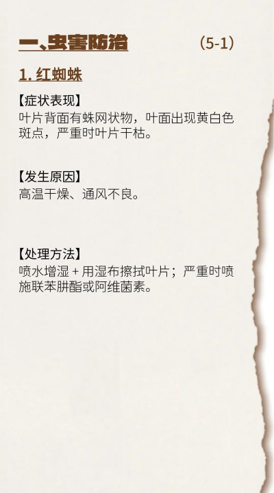 罗汉树病虫防治,常见问题解析,实用应对方法 罗汉树病虫防治,常见问题解析,实用应对方法