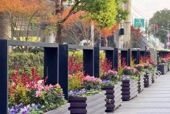 沿街绿化设计图片,提升城市颜值,打造宜居环境 沿街绿化设计图片,提升城市颜值,打造宜居环境