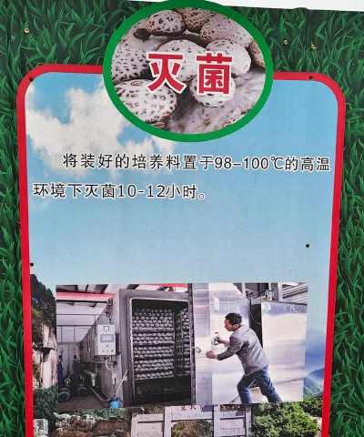 菇菇栽培研究室攻略,掌握关键技巧,轻松收获满满 菇菇栽培研究室攻略,掌握关键技巧,轻松收获满满