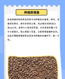 梦幻花怎么养,新手入门指南,轻松掌握技巧 梦幻花怎么养,新手入门指南,轻松掌握技巧