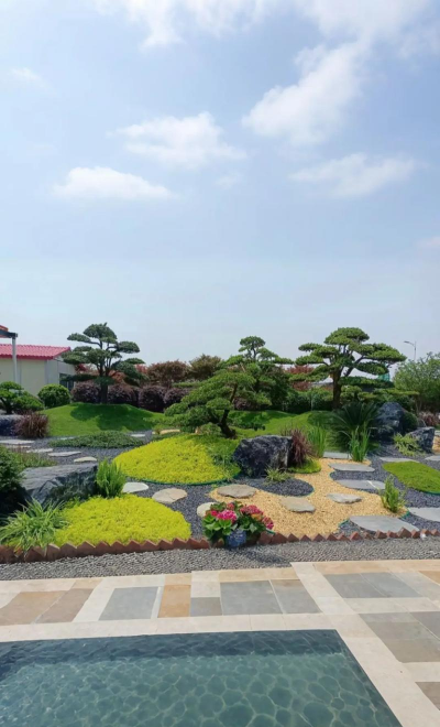 龙岩有没有设计绿化,绿化设计服务,专业团队选择 龙岩有没有设计绿化,绿化设计服务,专业团队选择