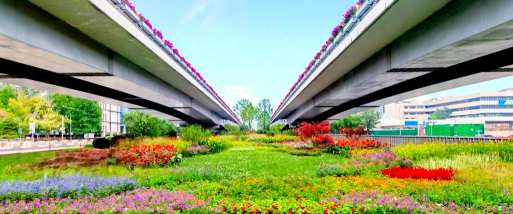 唐山桥梁绿化设计施工,提升城市景观,改善生态环境 唐山桥梁绿化设计施工,提升城市景观,改善生态环境