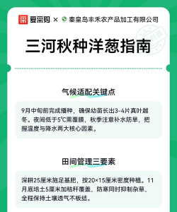 圆葱栽培,选对品种,掌握关键技巧 圆葱栽培,选对品种,掌握关键技巧