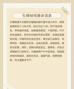 石榴树栽培,选对品种,掌握技巧 石榴树栽培,选对品种,掌握技巧