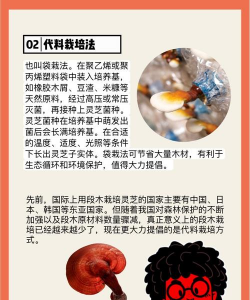 灵芝花怎么养植,掌握关键技巧,轻松培育成功 灵芝花怎么养植,掌握关键技巧,轻松培育成功