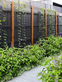 绿化图片创意设计,提升视觉吸引力,打造独特风格 绿化图片创意设计,提升视觉吸引力,打造独特风格