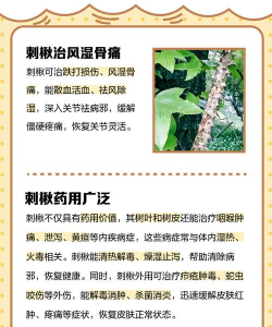 树剌子防治,常见问题解析,实用应对方法 树剌子防治,常见问题解析,实用应对方法