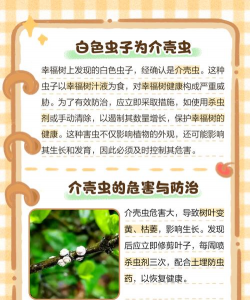 防治树长毛虫,找准原因,用对方法 防治树长毛虫,找准原因,用对方法