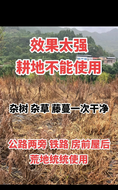 杂树杂草防治,清理方法,预防措施 杂树杂草防治,清理方法,预防措施