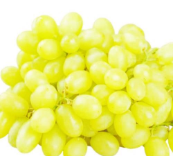 提子栽培,选对品种,掌握关键技巧 提子栽培,选对品种,掌握关键技巧