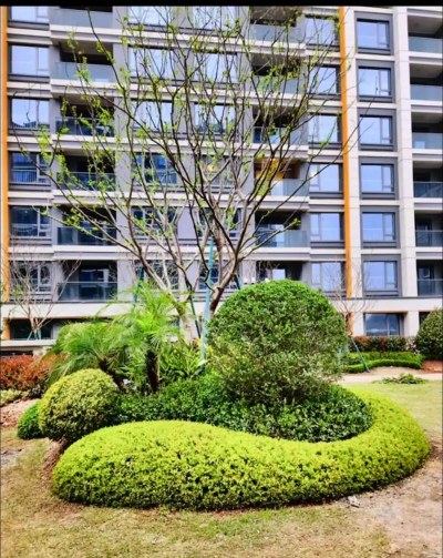 惠州绿化苗木设计建造,打造宜居环境,提升城市品质 惠州绿化苗木设计建造,打造宜居环境,提升城市品质