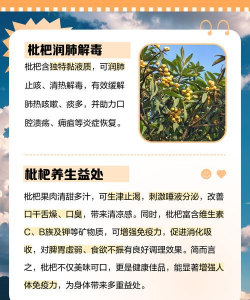 枇杷树掉皮防治,找准原因,对症下药 枇杷树掉皮防治,找准原因,对症下药