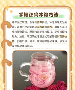 玫瑰花冬天怎么养,防冻保暖技巧,轻松过冬指南 玫瑰花冬天怎么养,防冻保暖技巧,轻松过冬指南