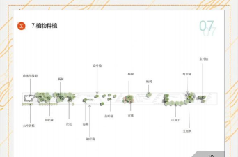 奇葩设计绿化带,影响出行安全,如何合理规划 奇葩设计绿化带,影响出行安全,如何合理规划