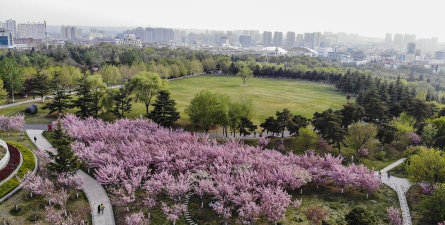 山西仿真立体绿化设计,提升城市美观,改善居住环境 山西仿真立体绿化设计,提升城市美观,改善居住环境
