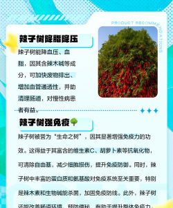 树辣子怎么防治,常见问题解析,实用方法分享 树辣子怎么防治,常见问题解析,实用方法分享