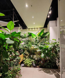 海南室内立体绿化设计,打造热带风情,提升空间活力 海南室内立体绿化设计,打造热带风情,提升空间活力