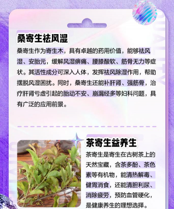 寄生树用什么药防治树,常见问题解析,实用方法分享 寄生树用什么药防治树,常见问题解析,实用方法分享