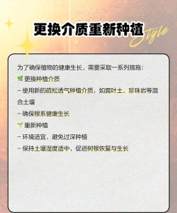 板栗树树杆腐烂如何防治,找准病因,及时处理 板栗树树杆腐烂如何防治,找准病因,及时处理