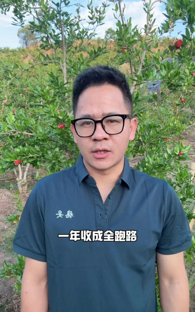 石榴树树虱子怎样防治,找准原因,用对方法 石榴树树虱子怎样防治,找准原因,用对方法