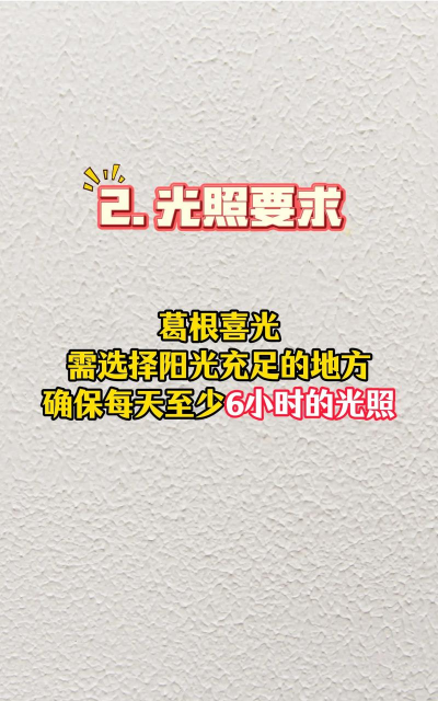 葛根的栽培,掌握关键步骤,轻松收获优质根茎 葛根的栽培,掌握关键步骤,轻松收获优质根茎