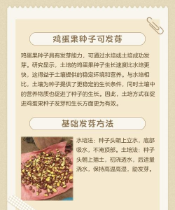 坚果的栽培,选对品种,掌握关键技巧 坚果的栽培,选对品种,掌握关键技巧