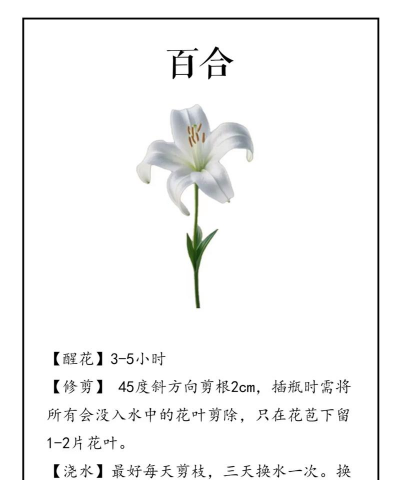 花店买的花怎么养,延长花期,保持鲜艳 花店买的花怎么养,延长花期,保持鲜艳