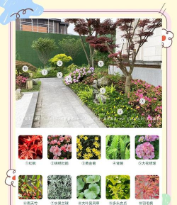 台州绿化花园设计品牌,选择要点,风格匹配 台州绿化花园设计品牌,选择要点,风格匹配