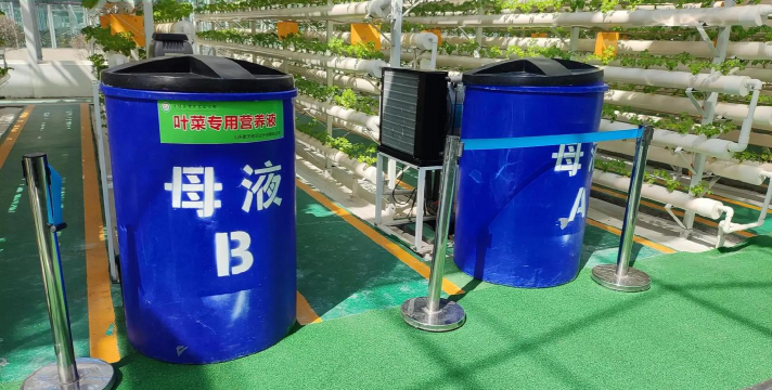 蔬菜立体栽培,节省空间,提高产量 蔬菜立体栽培,节省空间,提高产量